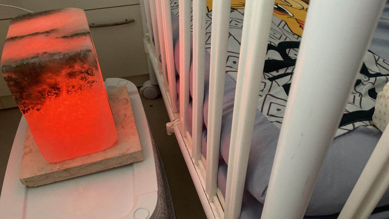 David Hadar‎חוות דעת ‏