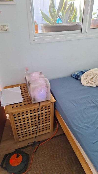 לאה עגיב חוות דעת