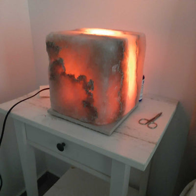 EDEN WINTER חוות דעת