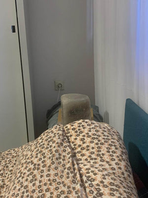 Elior Sharon‎ חוות דעת‏