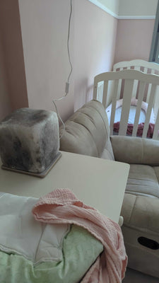 Adva Kushnir חוות דעת‏