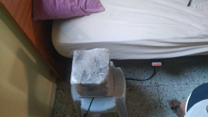 Ayelet Ben Zikri חוות דעת