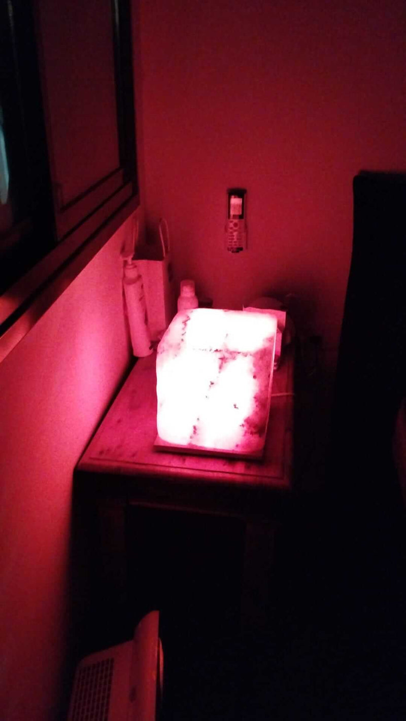 קארין מאילת חוות דעת