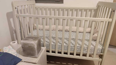 מוניקה ליביה אורלינסקי חוות דעת