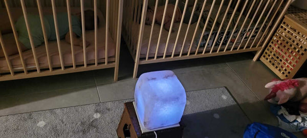 חוות דעת T.E.S