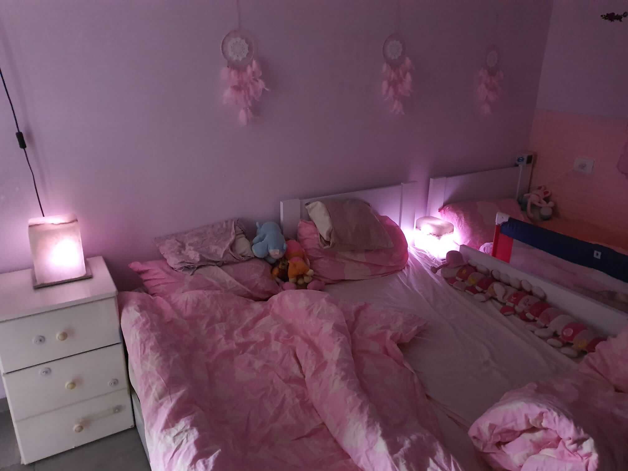 מאיר ש. עדות