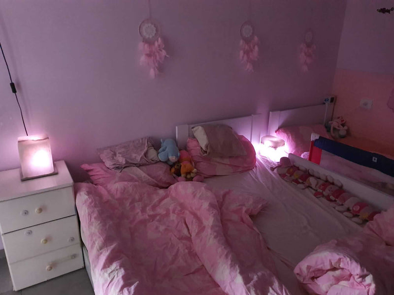 מאיר ש. חוות דעת